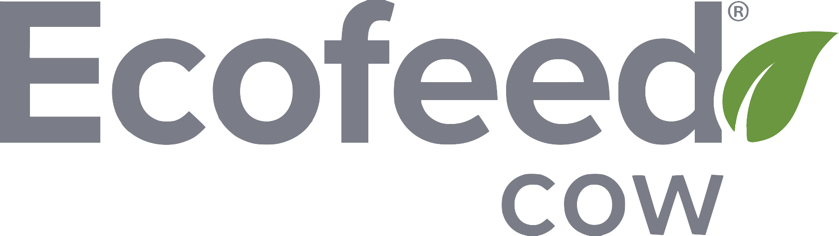 EcoFeed Cow